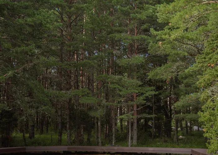 Dom wakacyjny Tiny Complex In Kalana