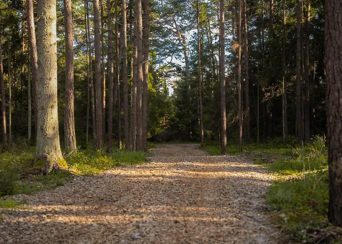 Tiny Complex In Kalana